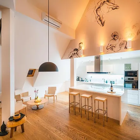 Lux Penthouse Near Wenceslas Square Appartement Praag